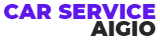 car SERVICE logo